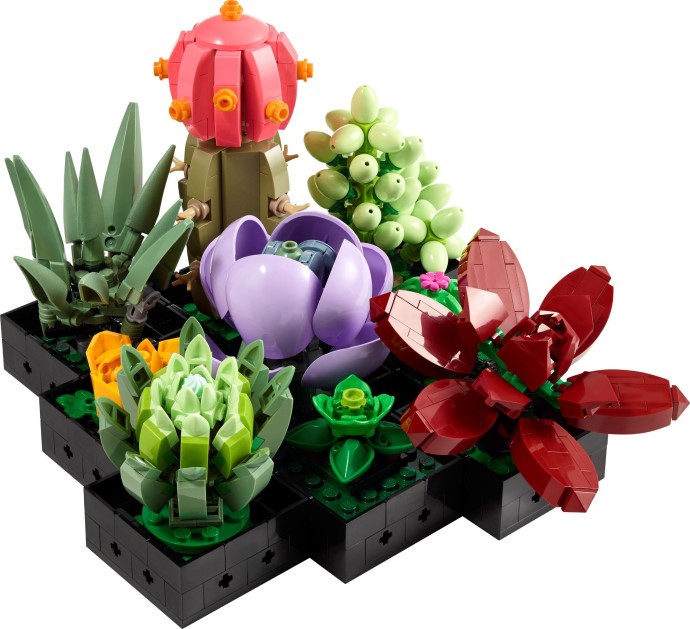 Succulents (Sealed Bags)