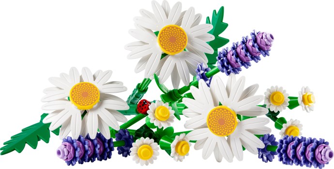 Daisies