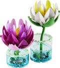 Water Lilies
