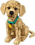 Golden Retriever Puppy