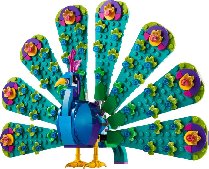 Exotic Peacock