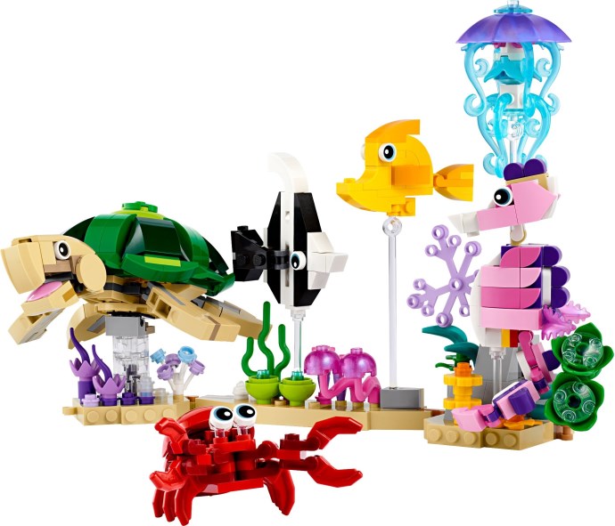 Sea Animals