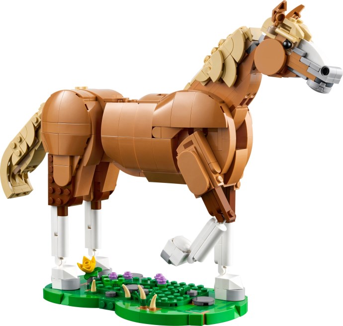 Beautiful Horse