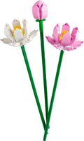 Lotus Flowers
